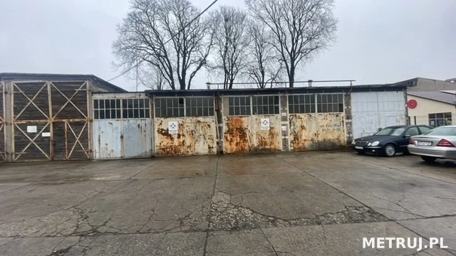 2_rejtana 7c.webp